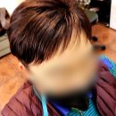 제천가발 이미지