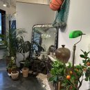 제주 금능제면소 애견동반식당 보말칼국수 파전 내돈내산