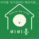 비비몽 대구강아지분양 미용호텔 | 대구강아지분양 비비몽 대구강아지 애견미용호텔 힐링되는 공간의 분양업체