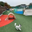 더위크앤리조트(더우프앤) 이미지