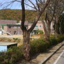 (주)에스에이치바이오 이미지