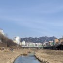 맥스퓨전(MAX FUSION) 이미지
