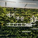 더 스테이 챕터 | 부산락페스티벌 2025 3일권 후기
