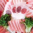 진어참치 이미지