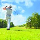 엘리트핏24 골프 이미지