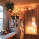 담아내기 이미지