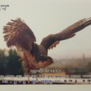 보라매 이미지