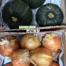 상태농장 | 만근농장 신선한 농산물 상태에 반했던 곳 2번째 구매 후기