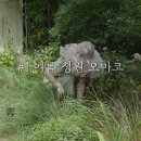 정원의 발견, 그 이후 | 다시 가 본 유럽풍 정원 | '오마코'정원 | '오 마이 코티지(Oh My Cottage)' 이미지