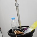 [시험관2차] 대구미라클여성의원/동결 이식 완료/크녹산 후기