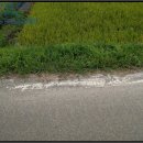 웅양면 오산경로당 이미지