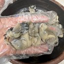 대박 씨알 가격 왕특대먹갈치 / 풀치 / 생물갑오징어 / 생물병어 / 통영 생굴 이미지