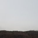 성현로 이미지