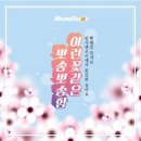 워시엔조이셀프빨래방춘천우두점