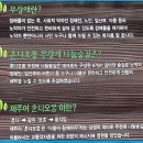 혼디오몽 | [여자혼자여행] 2020년제주여행-셋째날 (서귀포 자연휴양림- 혼디오몽 "무장애 나눔숲길")