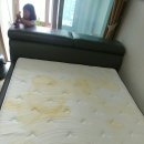 진아리채세탁 이미지