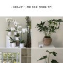 유토피스트 - 16628 | 유토피스트