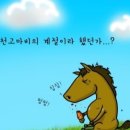 리스튜디오 이미지