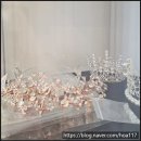 선우 | 전주웨딩드레스 대여, 선우 웨딩 솔직 후기! 드레스 투어 완벽 정리