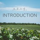 브로스냅 이미지