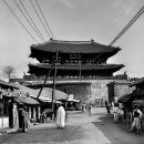 수원-1907 이미지