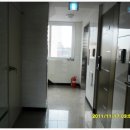 대조-011 이미지