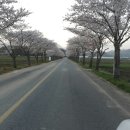 강진떡방앗간 이미지