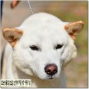 까치농장 이미지