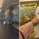 도그마루 고양이강아지 청주점 이미지