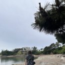 [전북 부안] 산바다펜션 - 부안 펜션 - 변산 펜션 바다 바로 앞 숙소 후기
