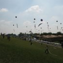 코스모스축제장 제방 이미지