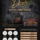 에이스원 이미지