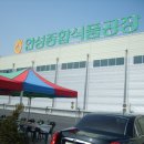 안성식품