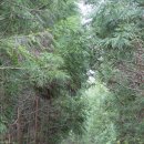 물영아리오름 이미지