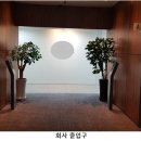 법인루마