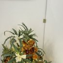 정각공인중개사사무소 이미지