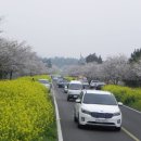 가시리별짱 이미지