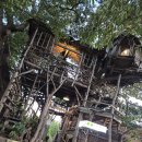 대동보건진료소 | 전북김제여행 가볼만한곳 이색카페 미즈노씨네 트리하우스 메뉴추천