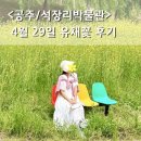 금강사 입구 | 공주 석장리 유채꽃 위치 석장리구석기축제 준비 상황 솔직후기