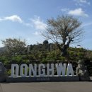 청춘부부 제주도 여행 3박4일_DAY2(<b>청춘</b><b>부부</b>,성아시돌목장,새별오름,대우정,제주동화마을,동문시장 야시장 등)