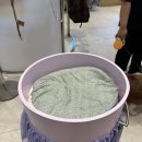 루이독 | [김포 고촌]강아지 용품 쇼핑, 루이독 김포현대아울렛점 방문 후기