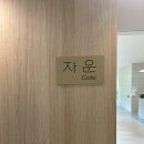 솔리,자운 이미지