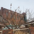 금당떡방앗간 - 광양시 희망길 12-25 | 금당떡방앗간
