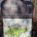 신정로(계남근린공원) 이미지