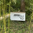 가덕도] 애견동반 가능한 예술가의 펜션 ✨ 자연뷰와 함께 노천탕까지 🌳 [펜션 garllery 가덕] 103호 후기