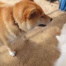 천왕농장 이미지