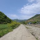 도둑골펜션