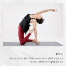 하)힐링요가 이미지