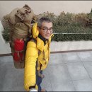 짱가스포츠 | (100) 용인 마락산 자락 힐링 백패킹