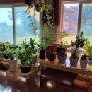 금수산한옥펜션적성재 이미지